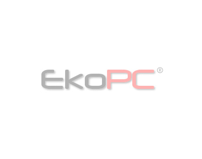 EkoPC, Sun Microsystems Associate Partner oldu.